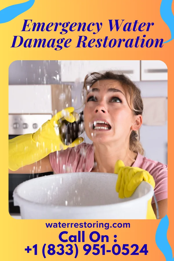 Emergency Water Damage Restoration in Frazer, PA