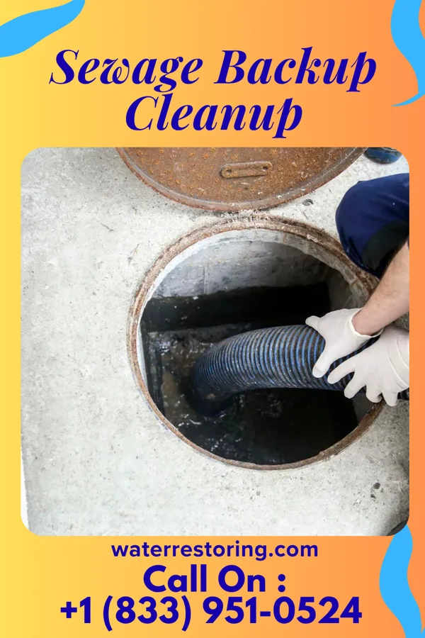 Sewage Backup Cleanup in Frazer, PA